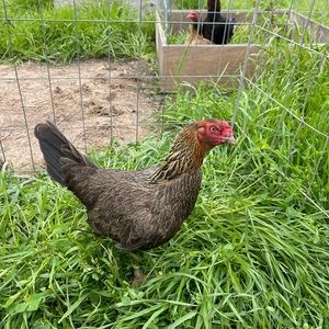 Meet your Posher, Martín